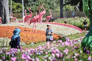 BIB: 
                            <button type="button" onclick="openModal(27793866)" class="btn btn-primary btn-sm float-right btn-popup" data-toggle="modal" data-target=".modal-high-quality">
                        <i class="fas fa-shopping-cart"></i> Add to Cart
                    </button>
                                            <button type="button" onclick="isThisMe(27793866, true)" class="btn btn-success btn-sm float-right btn-popup btn-isme hidden" data-toggle="tooltip" data-placement="bottom" title="นี่คือรูปของคุณใช่ไหม คลิกที่นี่เพื่อเอาเข้าอัลบั้ม">
                        <i class="fas fa-plus"></i> Add to album
                    </button>
                    <button type="button" onclick="isThisMe(27793866, false)" class="btn btn-warning btn-sm float-right btn-popup btn-isnotme hidden">
                        <i class="fas fa-ban"></i> Remove from album
                    </button>